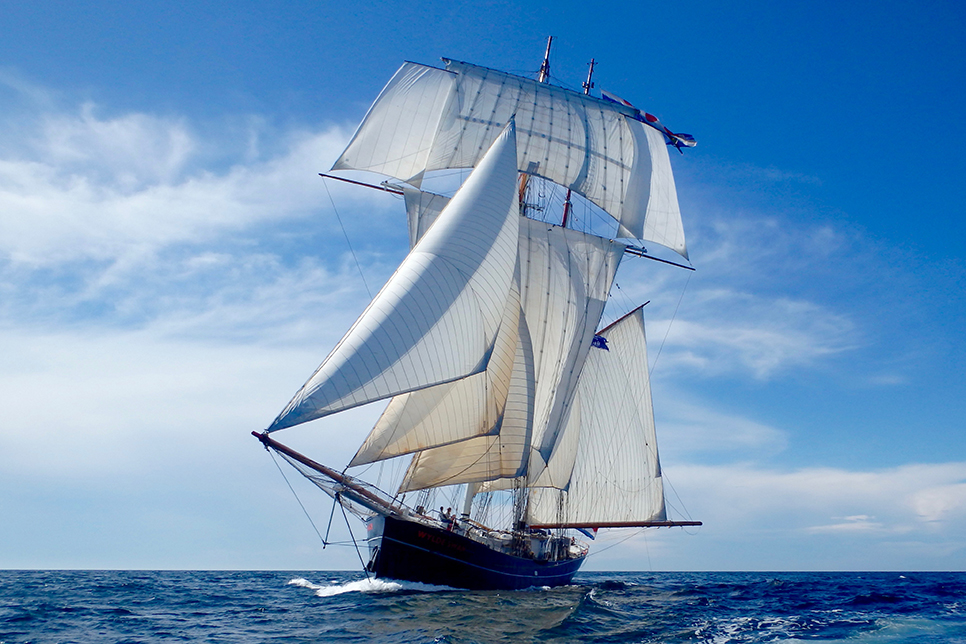 WYLDE SWAN - Sail On Board